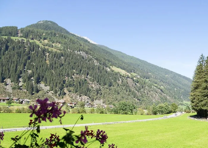 Peter بيت ضيافة